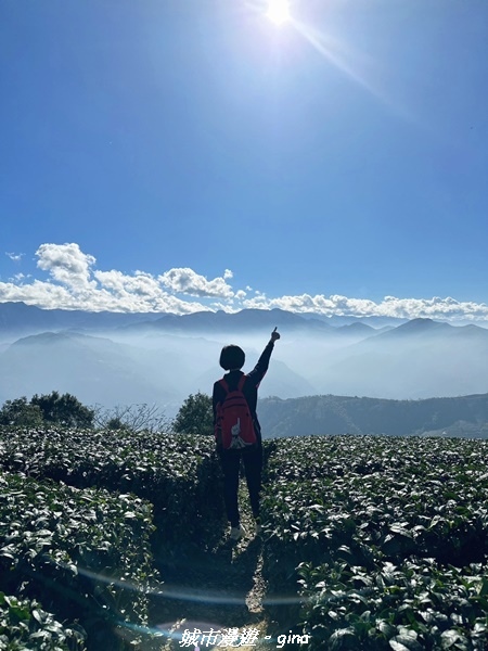 【嘉義梅山】NEUTRAL 防潑水皮革拼接氣墊鞋~悠閒踏青趣