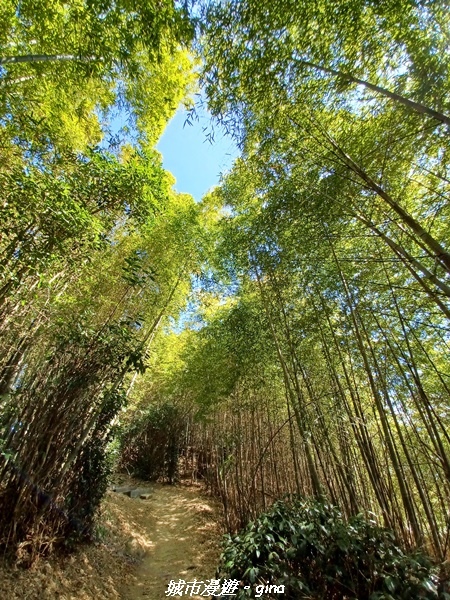 【嘉義梅山】NEUTRAL 防潑水皮革拼接氣墊鞋~悠閒踏青趣 【嘉義梅山】NEUTRAL 防潑水皮革拼接氣墊鞋~悠閒踏青趣