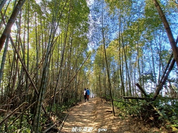 【嘉義梅山】NEUTRAL 防潑水皮革拼接氣墊鞋~悠閒踏青趣 【嘉義梅山】NEUTRAL 防潑水皮革拼接氣墊鞋~悠閒踏青趣