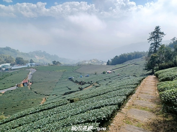 【嘉義梅山】NEUTRAL 防潑水皮革拼接氣墊鞋~悠閒踏青趣 【嘉義梅山】NEUTRAL 防潑水皮革拼接氣墊鞋~悠閒踏青趣