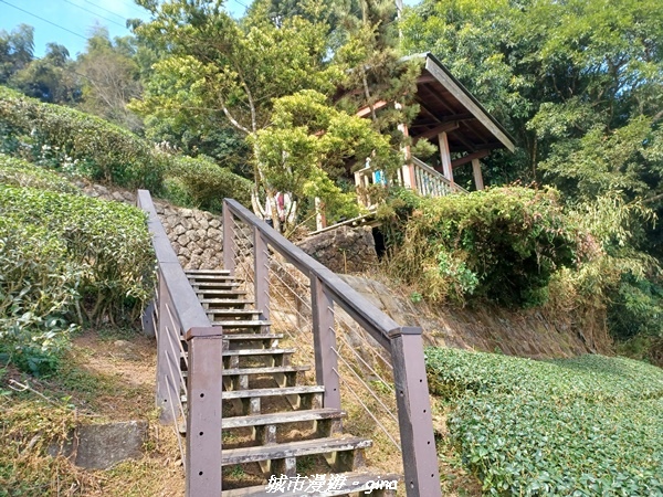 【嘉義梅山】NEUTRAL 防潑水皮革拼接氣墊鞋~悠閒踏青趣 【嘉義梅山】NEUTRAL 防潑水皮革拼接氣墊鞋~悠閒踏青趣