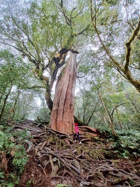 【宜蘭大同】散落的珍珠加羅湖