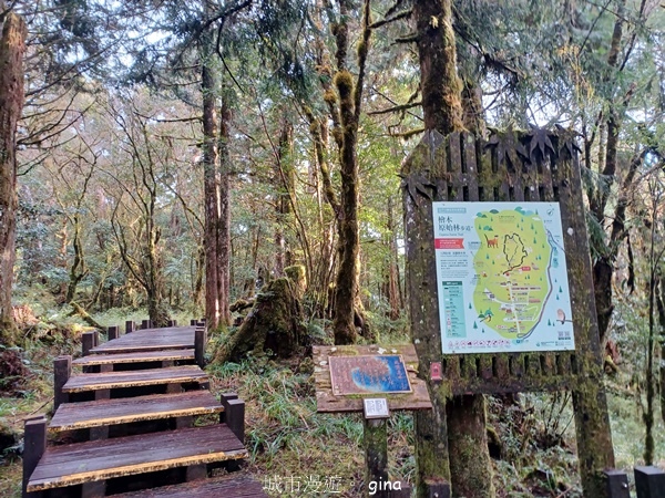 【宜蘭大同】散落的珍珠加羅湖