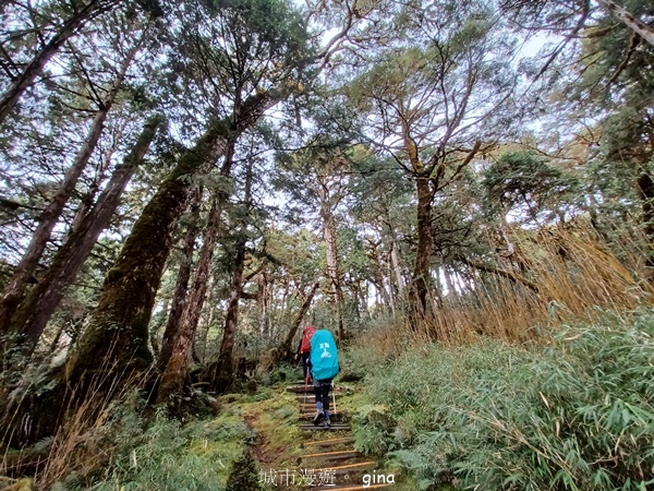 【宜蘭大同】散落的珍珠加羅湖
