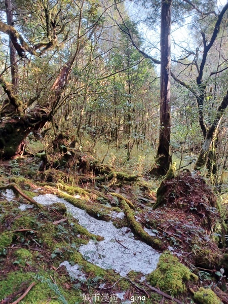 【宜蘭大同】散落的珍珠加羅湖
