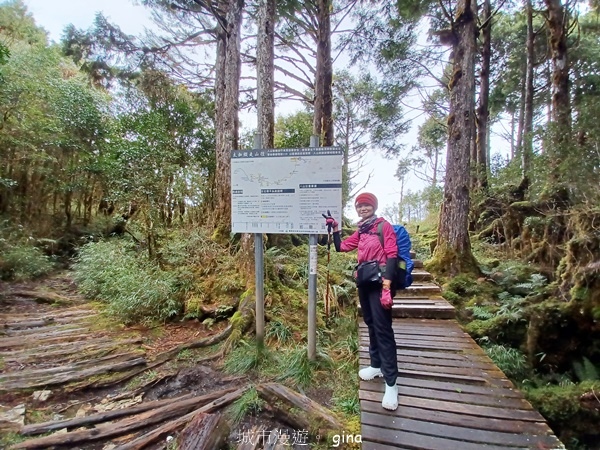 【宜蘭大同】散落的珍珠加羅湖