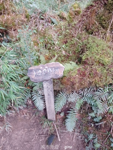 【宜蘭大同】散落的珍珠加羅湖