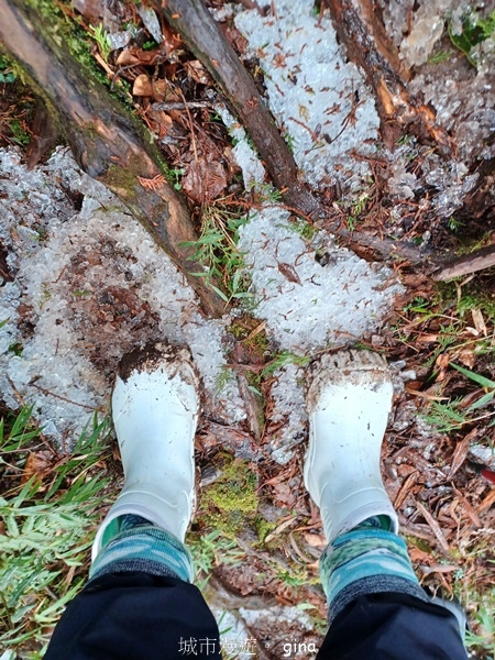 【宜蘭大同】散落的珍珠加羅湖
