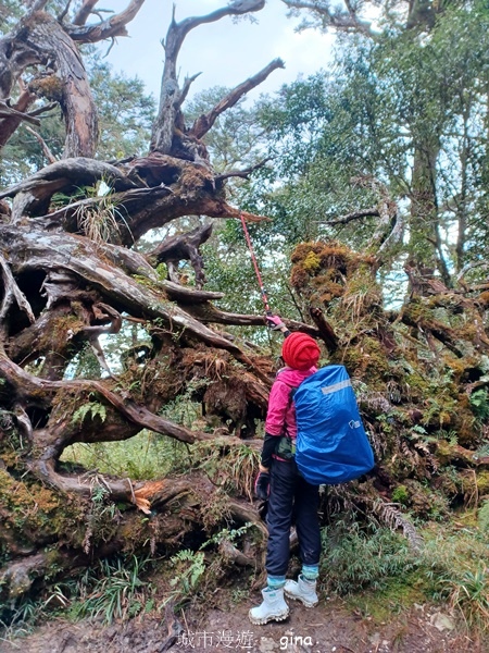 【宜蘭大同】散落的珍珠加羅湖