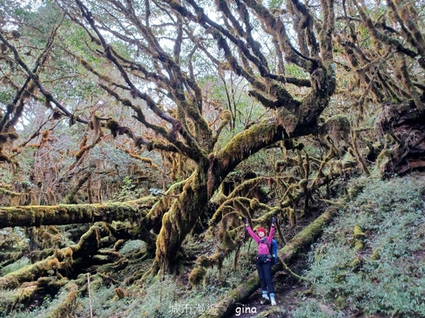 【宜蘭大同】散落的珍珠加羅湖