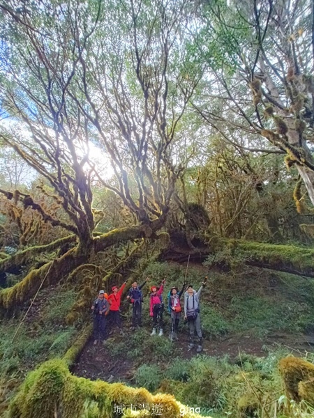 【宜蘭大同】散落的珍珠加羅湖