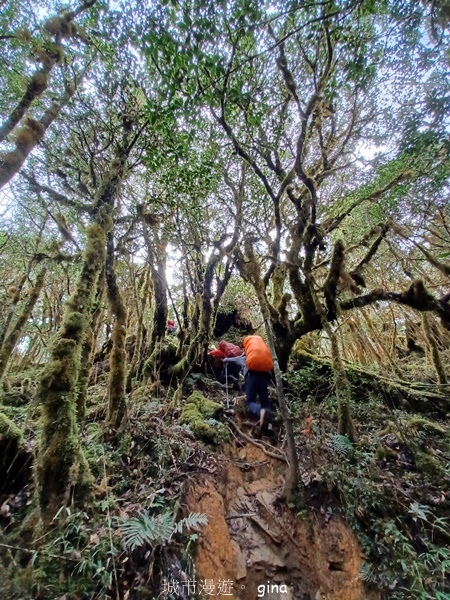 【宜蘭大同】散落的珍珠加羅湖