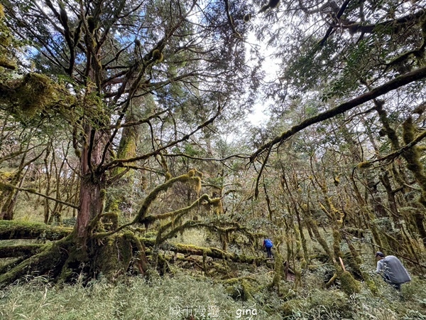 【宜蘭大同】散落的珍珠加羅湖