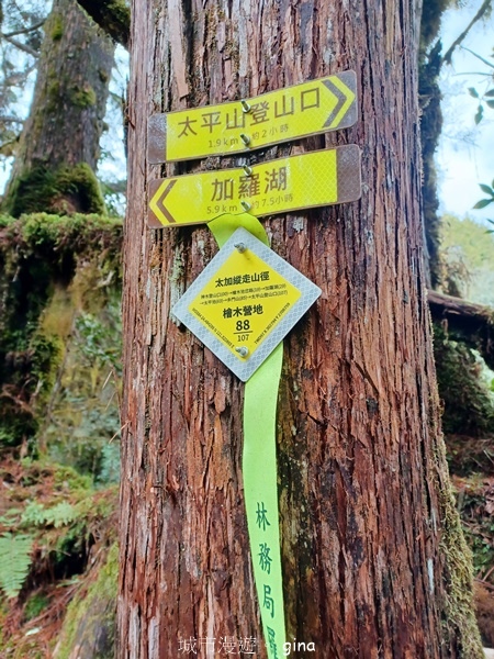 【宜蘭大同】散落的珍珠加羅湖