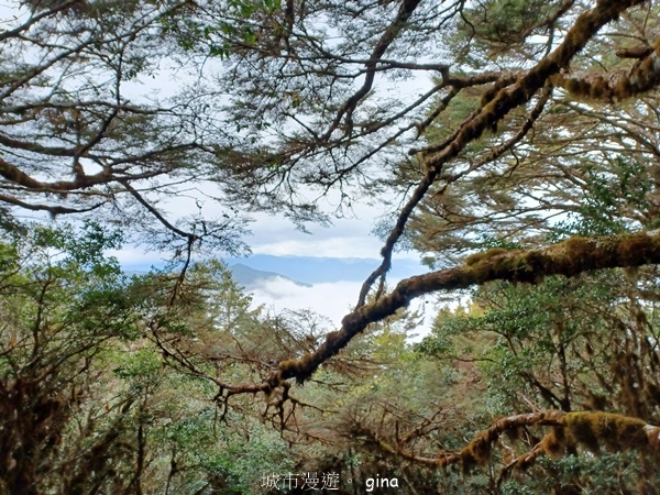 【宜蘭大同】散落的珍珠加羅湖