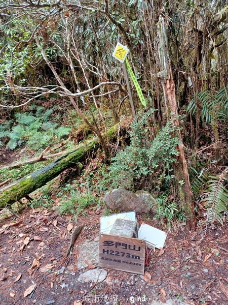 【宜蘭大同】散落的珍珠加羅湖