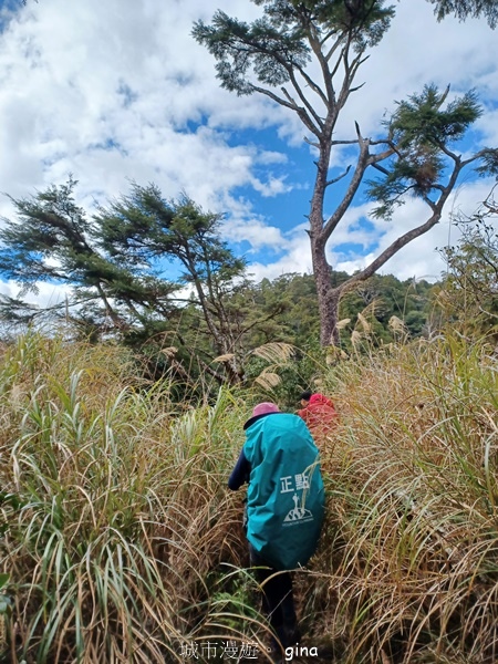 【宜蘭大同】散落的珍珠加羅湖