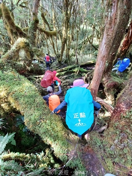 【宜蘭大同】散落的珍珠加羅湖