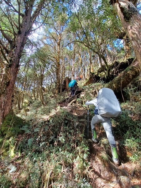 【宜蘭大同】散落的珍珠加羅湖