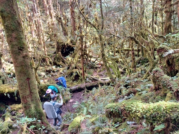 【宜蘭大同】散落的珍珠加羅湖