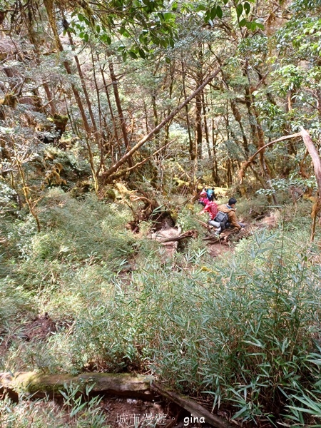 【宜蘭大同】散落的珍珠加羅湖