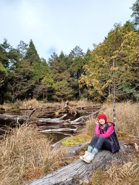【宜蘭大同】散落的珍珠加羅湖