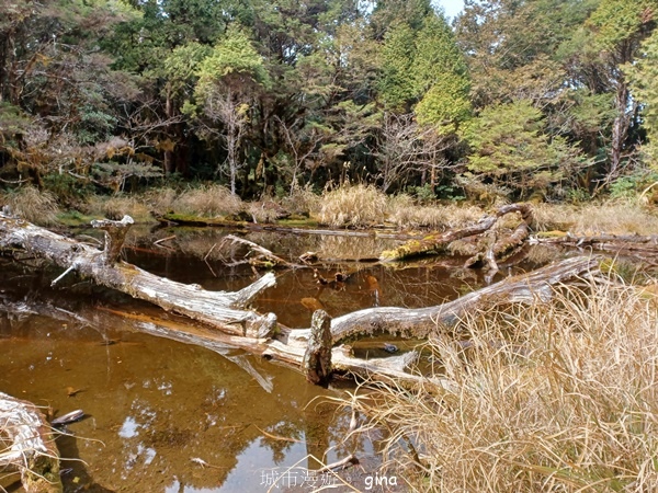 【宜蘭大同】散落的珍珠加羅湖