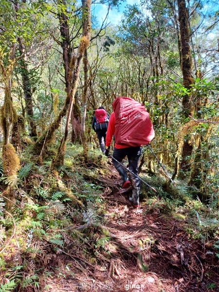 【宜蘭大同】散落的珍珠加羅湖
