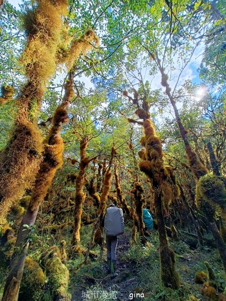 【宜蘭大同】散落的珍珠加羅湖