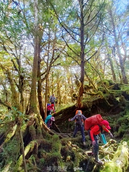 【宜蘭大同】散落的珍珠加羅湖