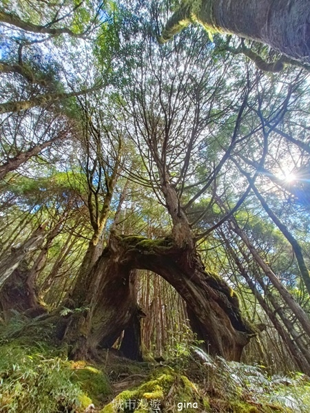 【宜蘭大同】散落的珍珠加羅湖