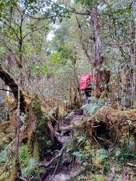 【宜蘭大同】散落的珍珠加羅湖