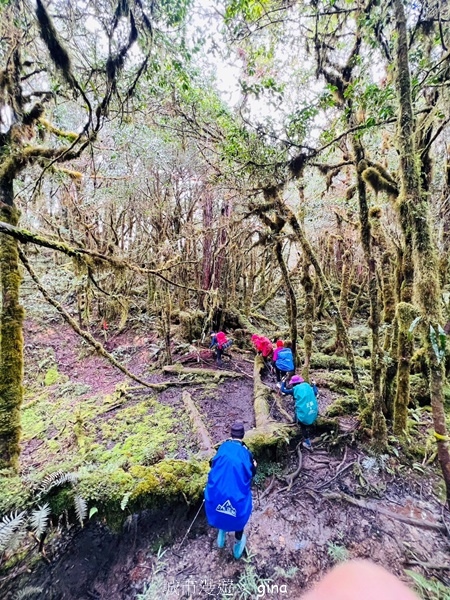 【宜蘭大同】散落的珍珠加羅湖