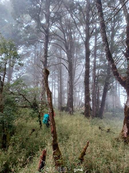【宜蘭大同】散落的珍珠加羅湖