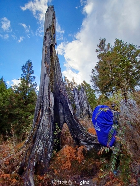 【宜蘭大同】散落的珍珠加羅湖