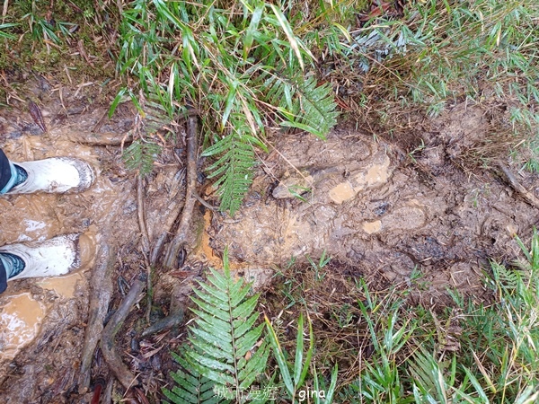 【宜蘭大同】散落的珍珠加羅湖