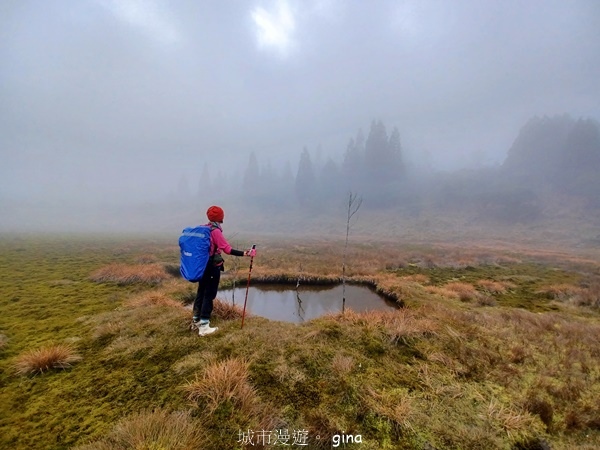 【宜蘭大同】散落的珍珠加羅湖