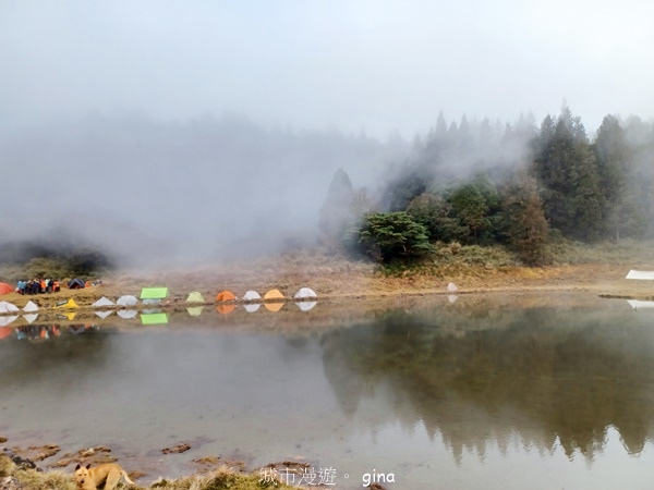 【宜蘭大同】散落的珍珠加羅湖