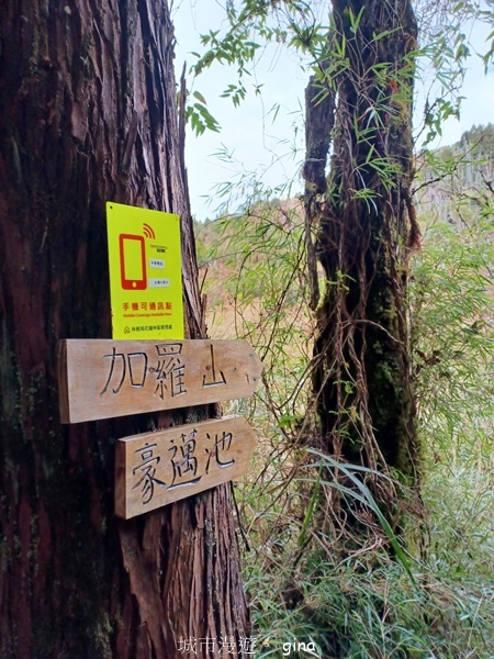 【宜蘭大同】散落的珍珠加羅湖