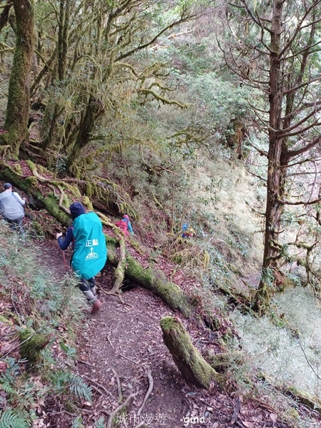 【宜蘭大同】散落的珍珠加羅湖