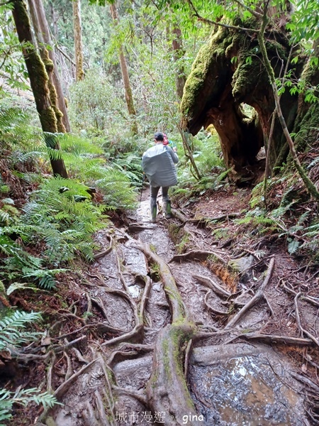 【宜蘭大同】散落的珍珠加羅湖