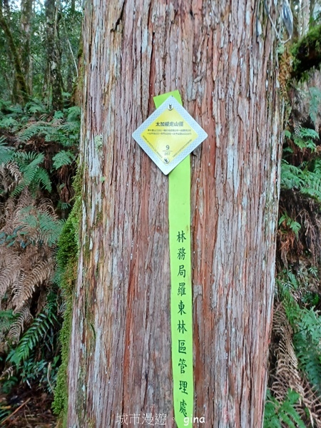 【宜蘭大同】散落的珍珠加羅湖