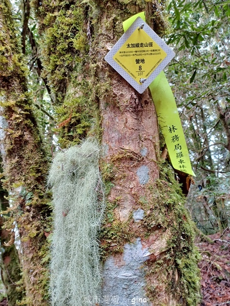 【宜蘭大同】散落的珍珠加羅湖