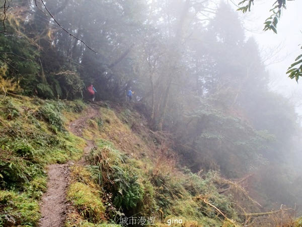 【宜蘭大同】散落的珍珠加羅湖