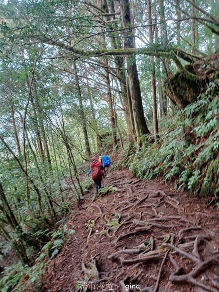 【宜蘭大同】散落的珍珠加羅湖