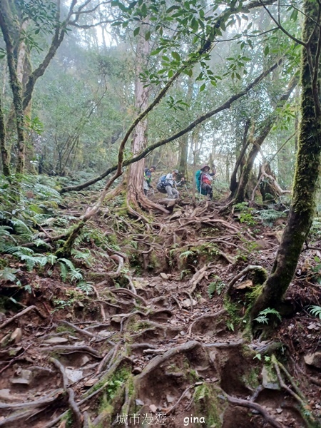 【宜蘭大同】散落的珍珠加羅湖