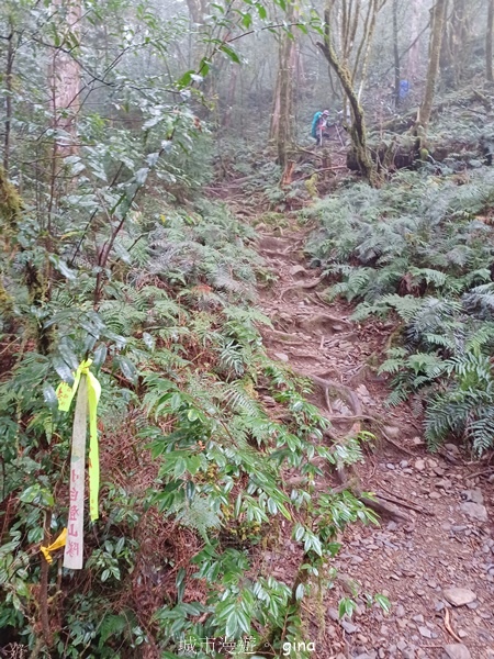 【宜蘭大同】散落的珍珠加羅湖