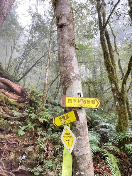 【宜蘭大同】散落的珍珠加羅湖