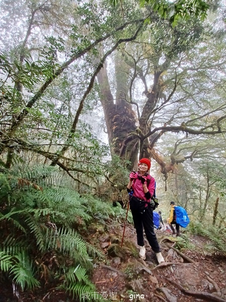 【宜蘭大同】散落的珍珠加羅湖