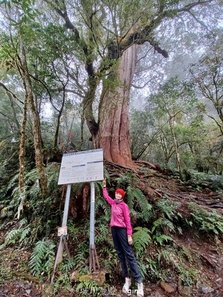 【宜蘭大同】散落的珍珠加羅湖